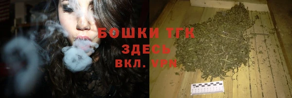 прущие грибы Алзамай