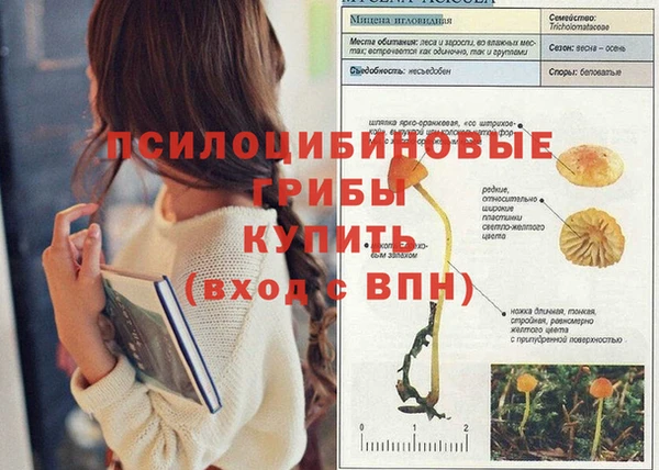 jwh Алексеевка