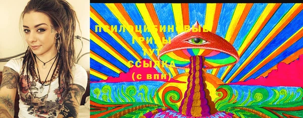 прущие грибы Алзамай
