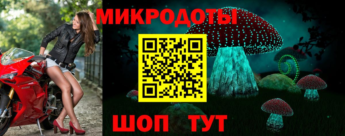 Галлюциногенные грибы прущие грибы Курск