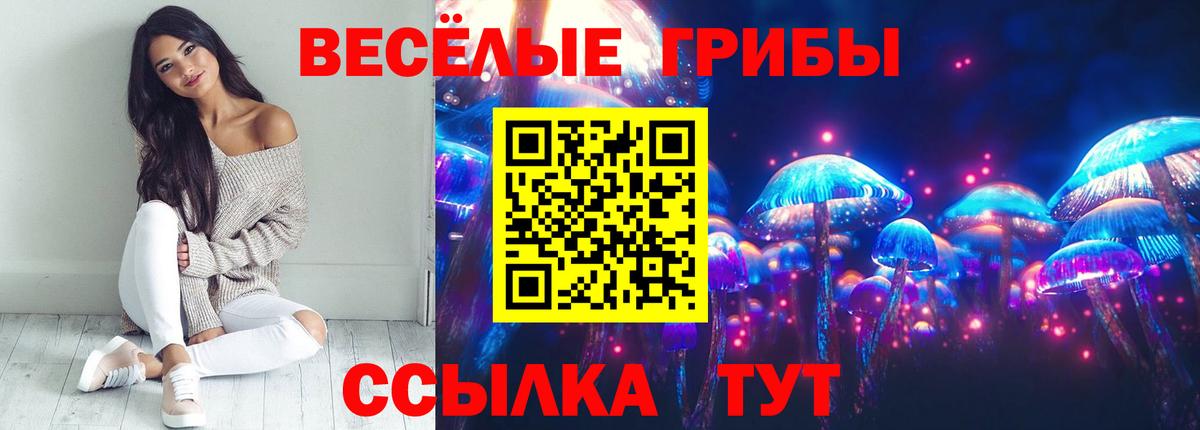 Галлюциногенные грибы мицелий  продажа наркотиков  Вход с VPN  Курск  Галлюциногенные грибы Magic Shrooms 
